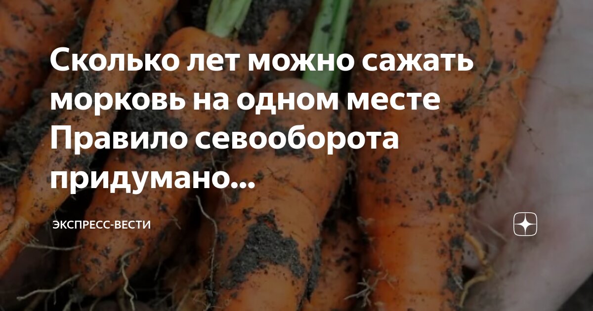 Со скольки лет можно сдавать на права. Девушка со скольки лет. Во сколько лет можно выезжать на велосипеде на дорогу. Во сколько лет можно получить кмс. Статистика рождения детей.