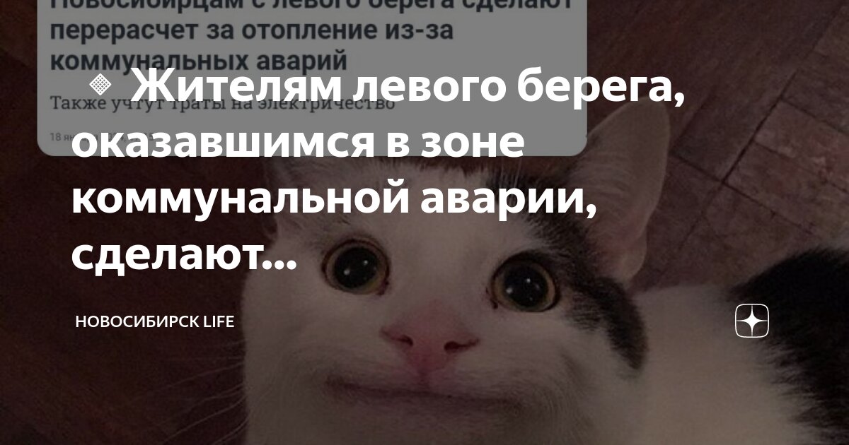 Life gym вязьма. Спортзал новосибирск gym life. Город новосибирск. Футболка dedsec. Нск лайф.