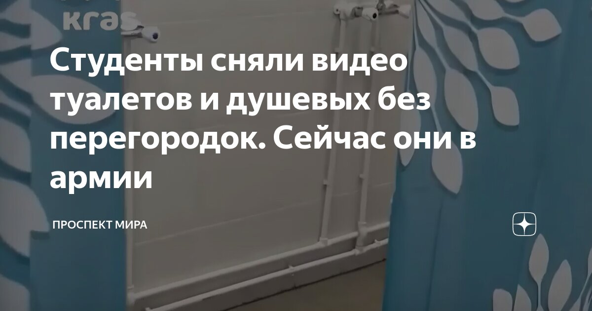 Российский девятиклассник снял на видео поход в туалет другого школьника и распространил его в сети