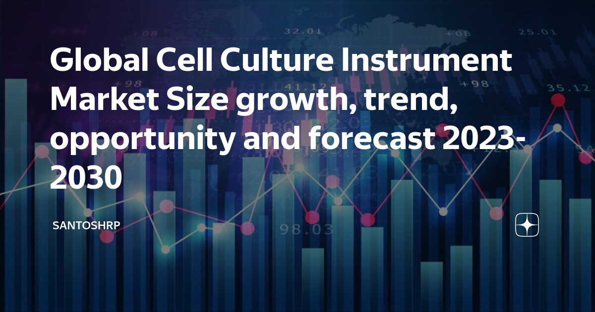 2023 2030. 2023 2030. 2023 2030. 2023 2030. 2023 2030.