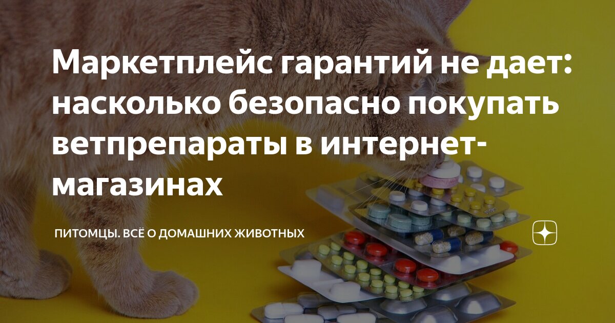 Безопасно ли вводить данные в озон. Безопасно ли вводить данные в озон