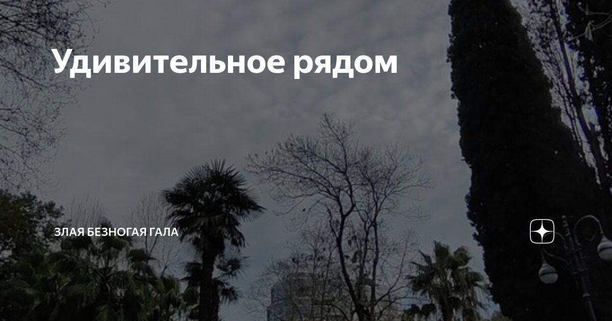 Не удивительно вместе или раздельно. Не удивил или неудивил. Я разочарован. Не удивил или неудивил. Удивил мем.
