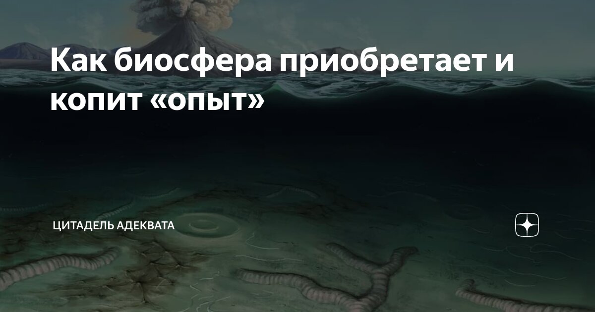 Прогресс биосферы. Джон питре картины. Прогресс биосферы. Биосфера оболочка жизни. Биосфера это пространство.