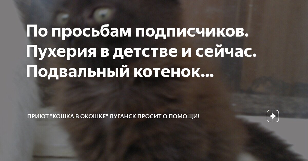 Кошка бросила котят стихотворение