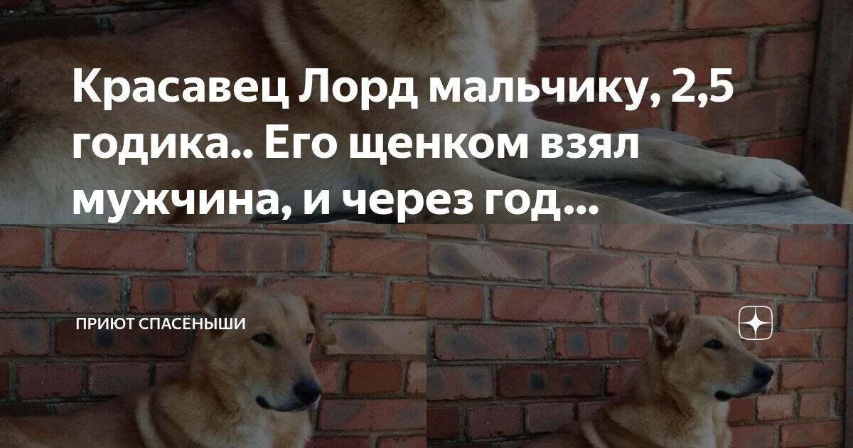 Золотая орда, пленные славяне. Башкиры взяли пять хлопчиков в плен. Башкиры взяли пять хлопчиков в плен. Набеги крымских татар на русь. Башкиры 18 века.