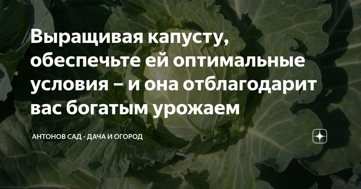 вклад оптимальный совкомбанк. система страхования вкладов динамика. формула расчета годовых процентов по вкладу. вклад оптимальный условия. кеб банк вклад оптимальный на 3 года.