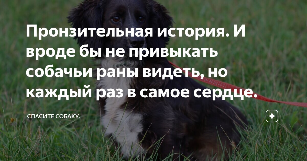 Аркадий кобяков мне некуда бежать. Кобяков аркадий разговор с богом. Аркадий кобяков планета. Кобяков ветерок текст. Стихи о сердце и душе.