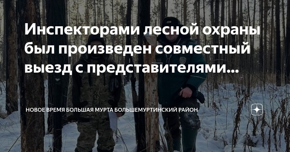 Отвод делянок. Отвод лесных лесосек столб. Схема разработки лесосеки бензомоторными пилами. Лесхоз дрова. Отвод лесосек.