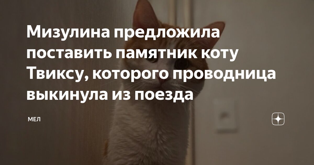 Предложили поставить памятник. Установщик памятников на кладбище. Ставрополь памятник джадоеву. Фундамент для памятника. Балки под памятник.