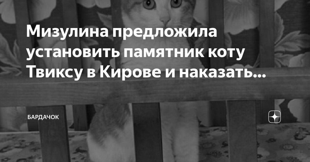 Мизулина предложила памятник коту