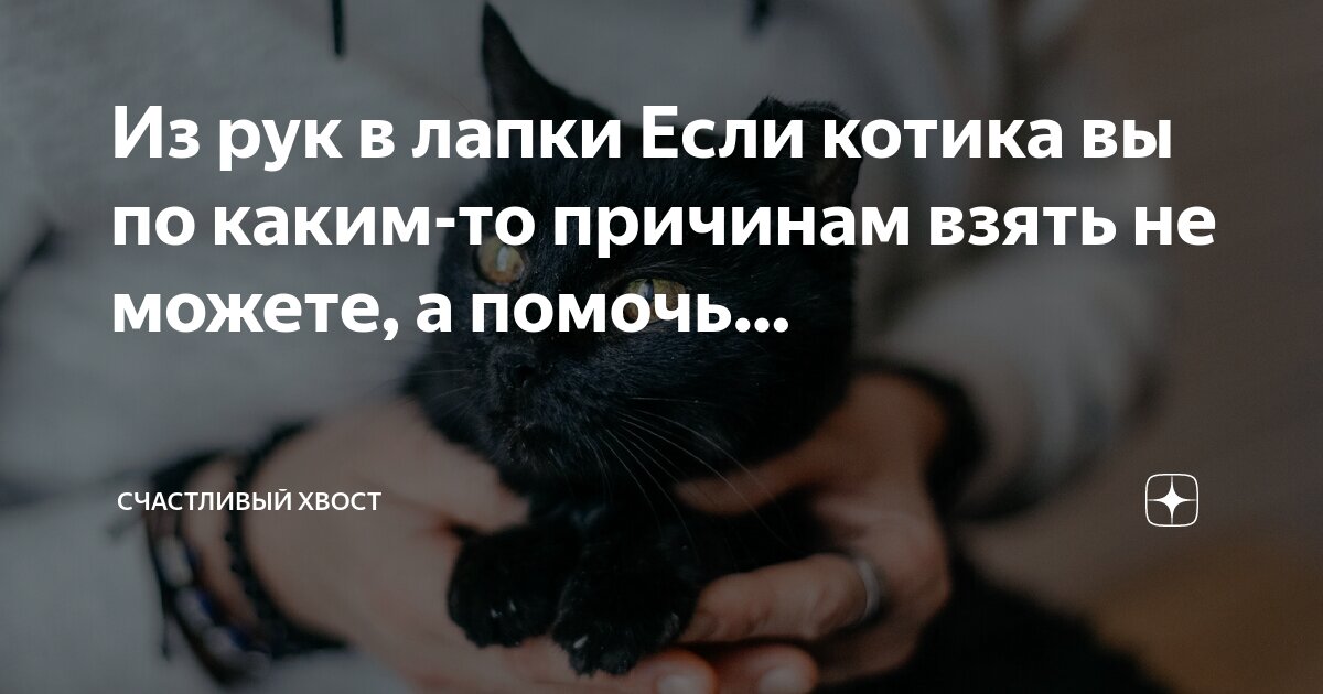левой рукой кушать. приметы на богатство. в какие дни нельзя давать в долг. приметы к деньгам. какая рука брать какая давать.
