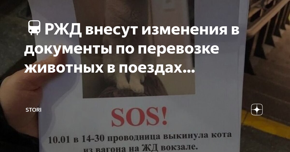 Запрос разъяснений образец. Обоснование внесение изменений описание изменений. Внесение изменений в документацию. Решение о внесении изменений в конкурсную документацию. Сроки размещения в еис.