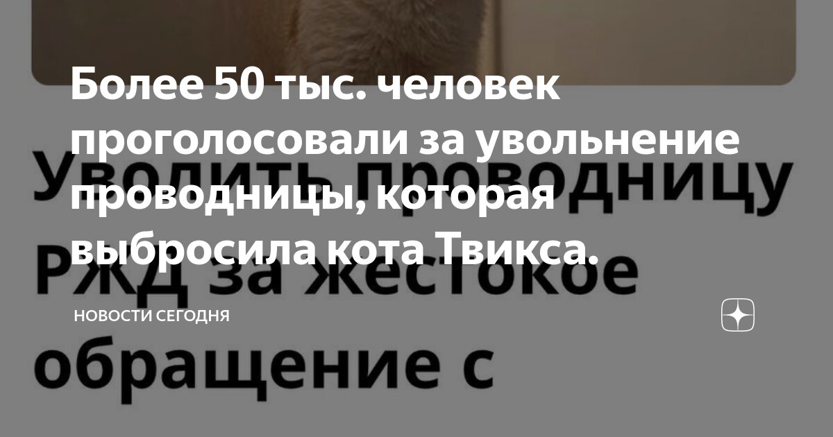 петиция проводницу кота. поезд воркута анапа. проводница в поезде. коты севастополь. кот на железной дороге.