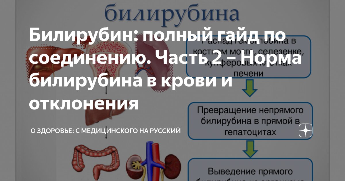Билирубин прямой конъюгированный норма. Билирубин прямой конъюгированный норма