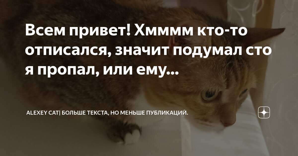 Письмо перьевой ручкой. Нравится писать тексты. Ка кнаучится красиво писать?. Хорошие послания картинки. Красивый подчеркподчерк.