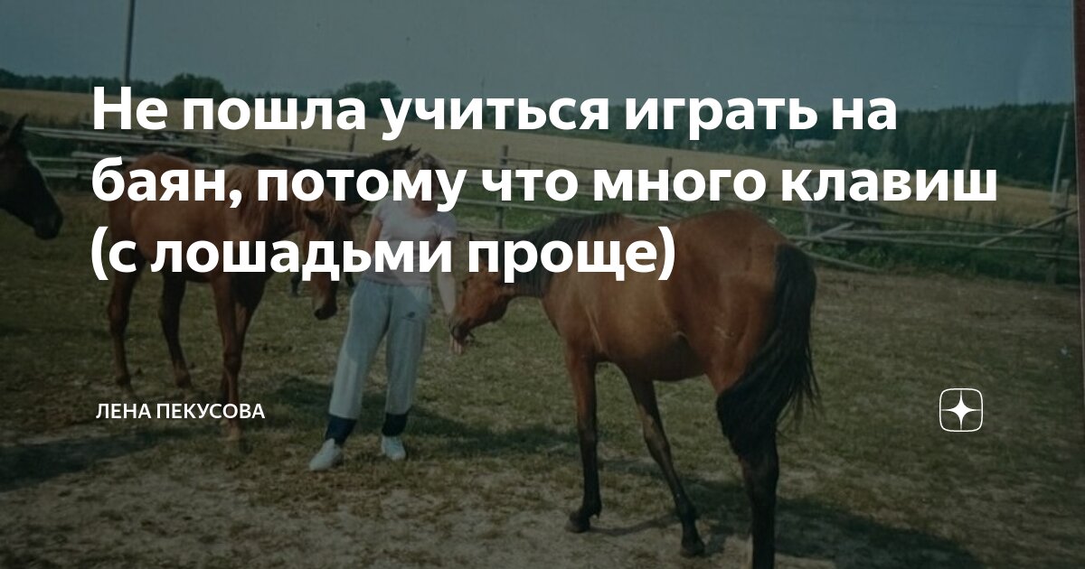 льготы поступающим в вузы. бви олимпиада. что дают олимпиады 2 уровня. по каким олимпиадам можно поступить. вшэ презентация.