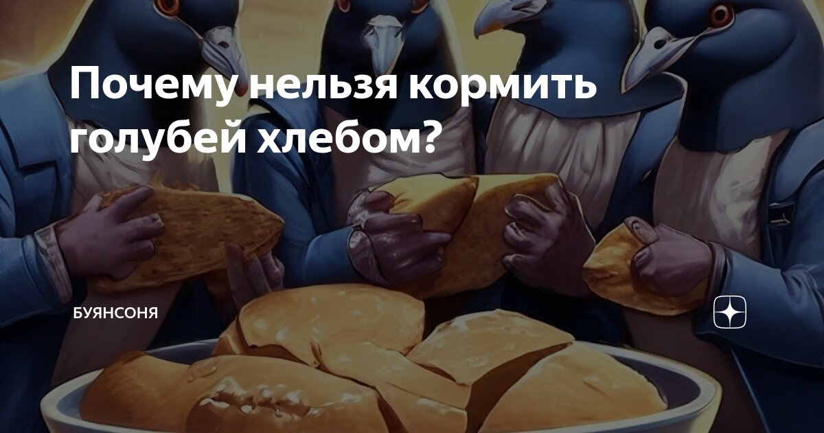 Можно ли голубям давать хлеб. Можно ли голубям давать хлеб