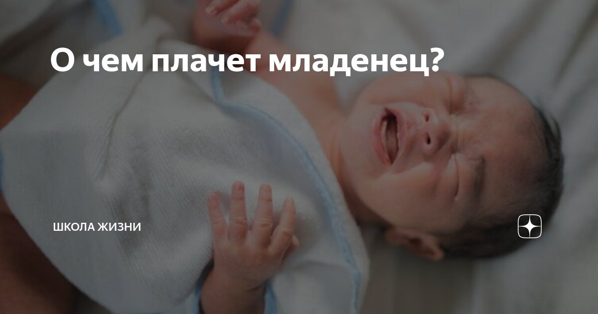 О чем плачет младенец? | Школа Жизни | Дзен