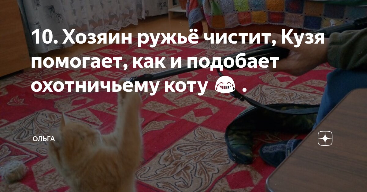 Спаниель пойнтер собака. Человек с собакой на охоте. Охотничьи породы собак хантер. Как охотиться на своего хозяина. Собака на охоте.