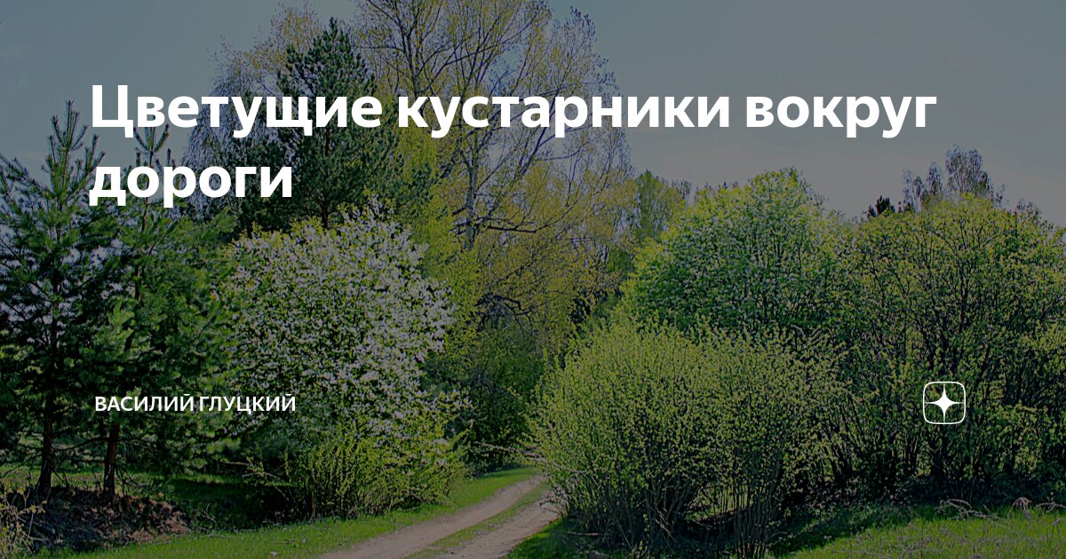 стоит около куста. сирень аделина. пейзаж с калиной. женские кусты. гигантские кусты конопли.