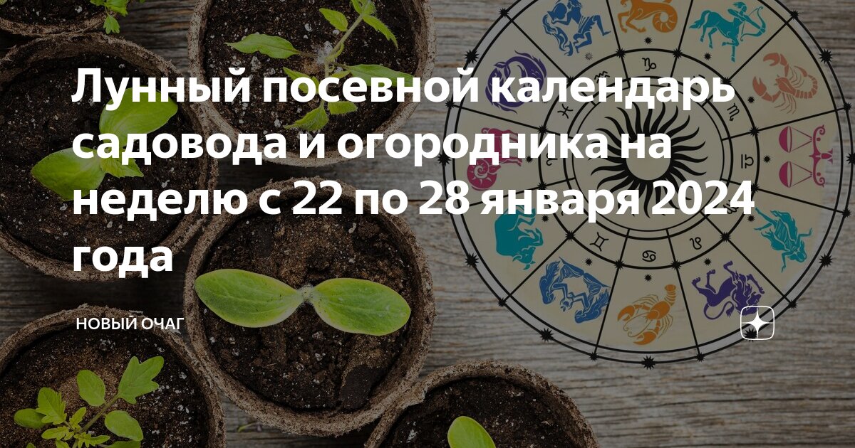 Лунный календарь 2024 год январь месяц
