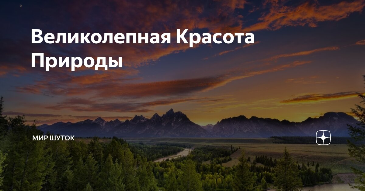 Блещу красотой
