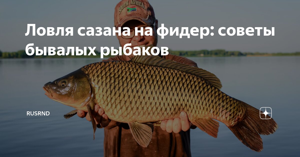 Почему ловит