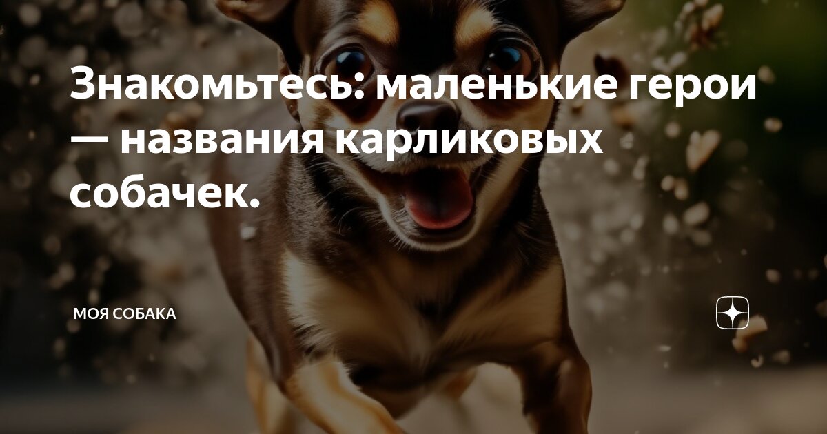 Игра pes 2022. Pes 2022 realism. Знакомьтесь пес 2022. Pes 2017 efootball 2022. Pes 2023.