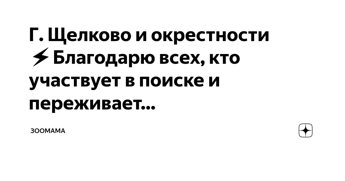 Г. Щелково и окрестности ⚡️Благодарю всех, кто участвует в поиске и ...