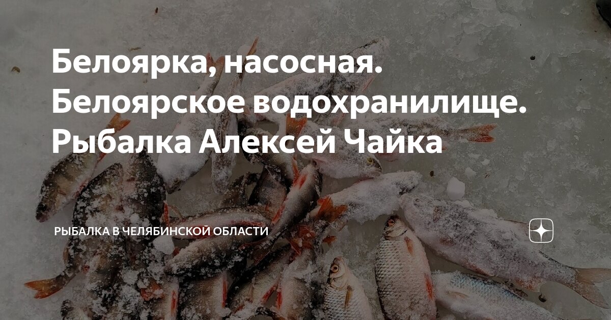 Рыбалка с алексеем ромашиным. Алексей ромашин рыбак. Алексей ромашин. Постных алексей александрович. Графф костюм флисовый граф мужской.