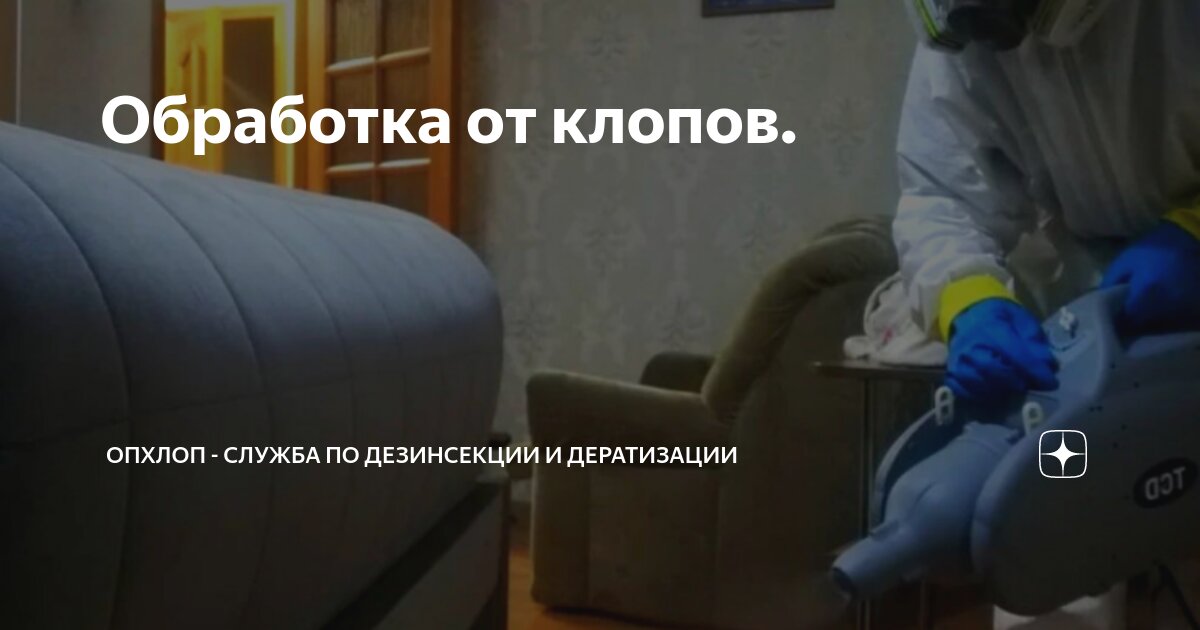 Клопы после дезинфекции. Обработка от клопов через какое время. Схема обработки квартиры от клопов. Средства против насекомых в саду. Памятка при обработке от тараканов.