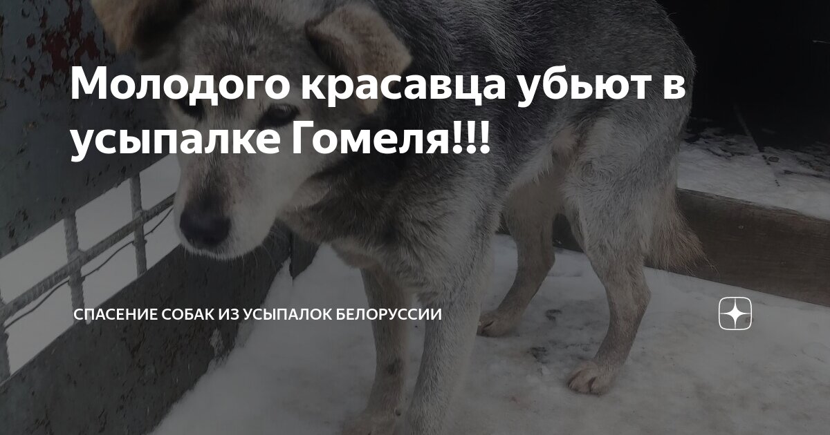 Значение слова. Куда деть руки. Что значит девать. Цитаты обиженному супругу. Лизинг термин.