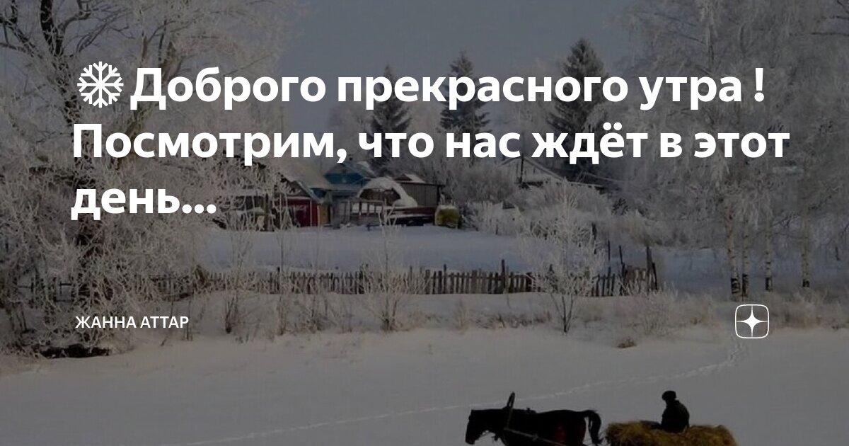 Хорошего дня с собаками. Букет полевых цветов в машине. Добрые рисунки. Радоваться жизни с добрым утром. Весеннее чаепитие.