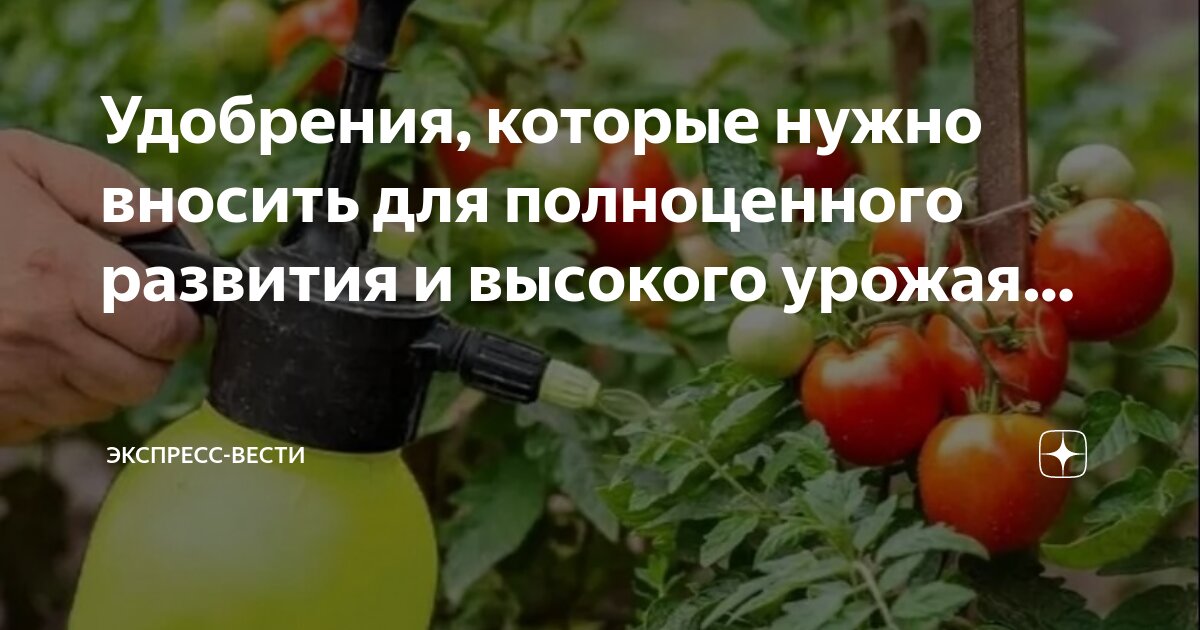 Они росли