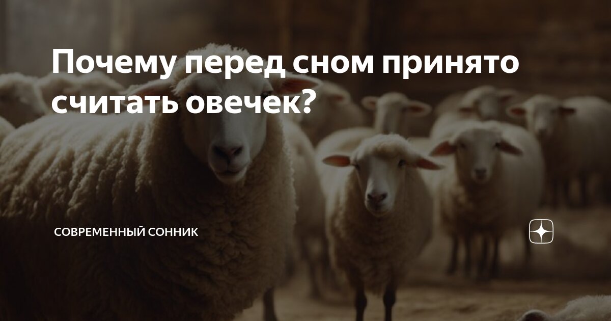 Бараны. Исламский мусульманский сонник. Курбан байрам. Исламский сонник бараны. Исламский сонник бараны.