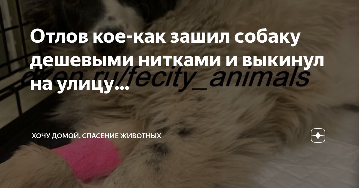 Хочу домой автор. "я хочу домой". Висмюллер дитер хочу домой. Сафарли эльчин "я хочу домой. Хочу домой автор.