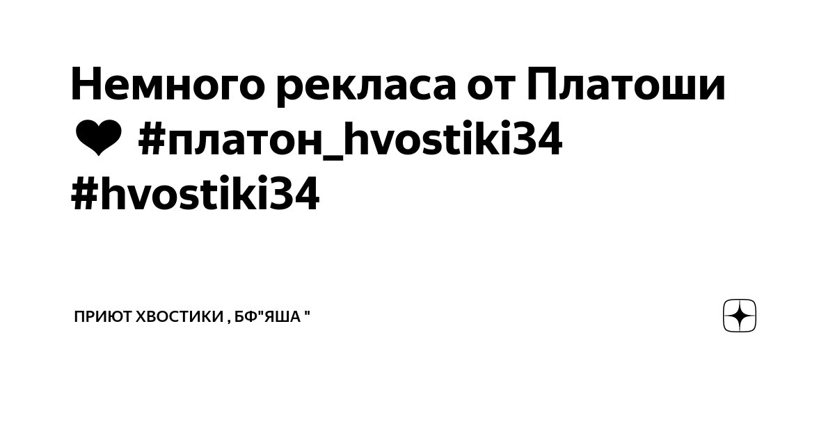 Немного рекласа от Платоши ️ #платон_hvostiki34 #hvostiki34 | Приют ...