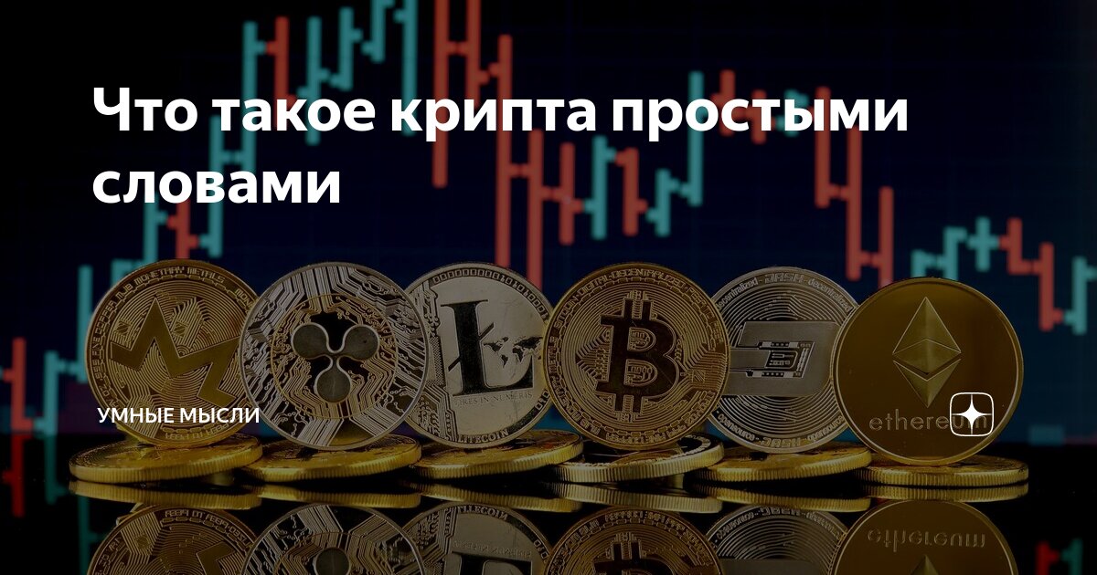 Умные мысли но он был быстрее. Умные мысли но он был быстрее