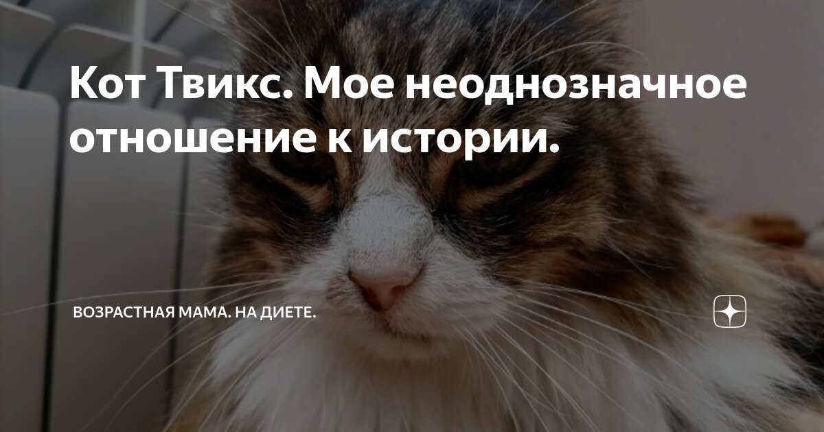 как развиваются отношения старцева и котика. ионыч чехов семья туркиных. старцев ионыч. он старцев решил сходить. взаимоотношение старцева и котика.