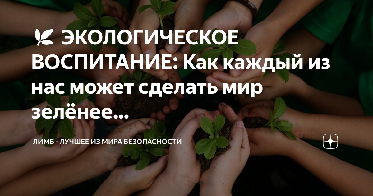 что я могу сделать для окружающей среды. мероприятия по сохранению природы. проект экология. что можно сделать для защиты окружающей среды. меры по защите окружающей среды.