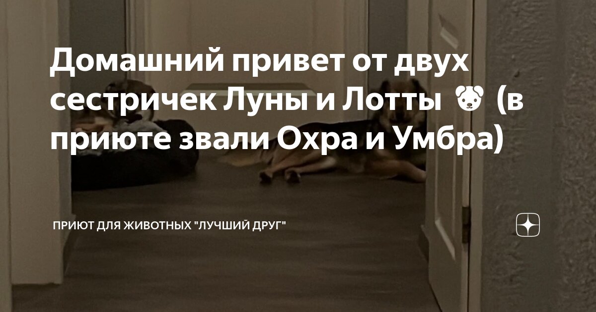 с крашенного охрой. цвет охра в интерьере. с крашенного охрой. желто охристая глина фото текстура. с крашенного охрой.