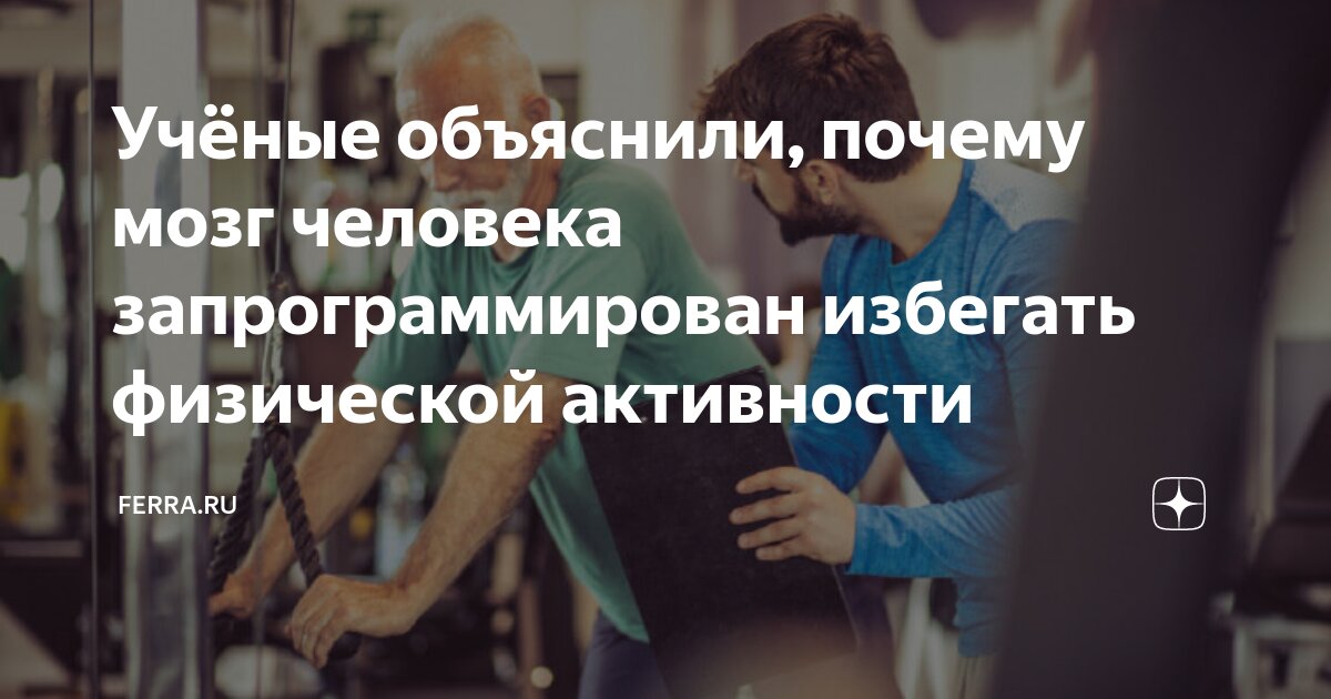 Какое ощущения после тренировки. Какое ощущения после тренировки