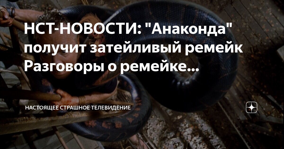 Нств настоящее программа. Нств настоящее программа