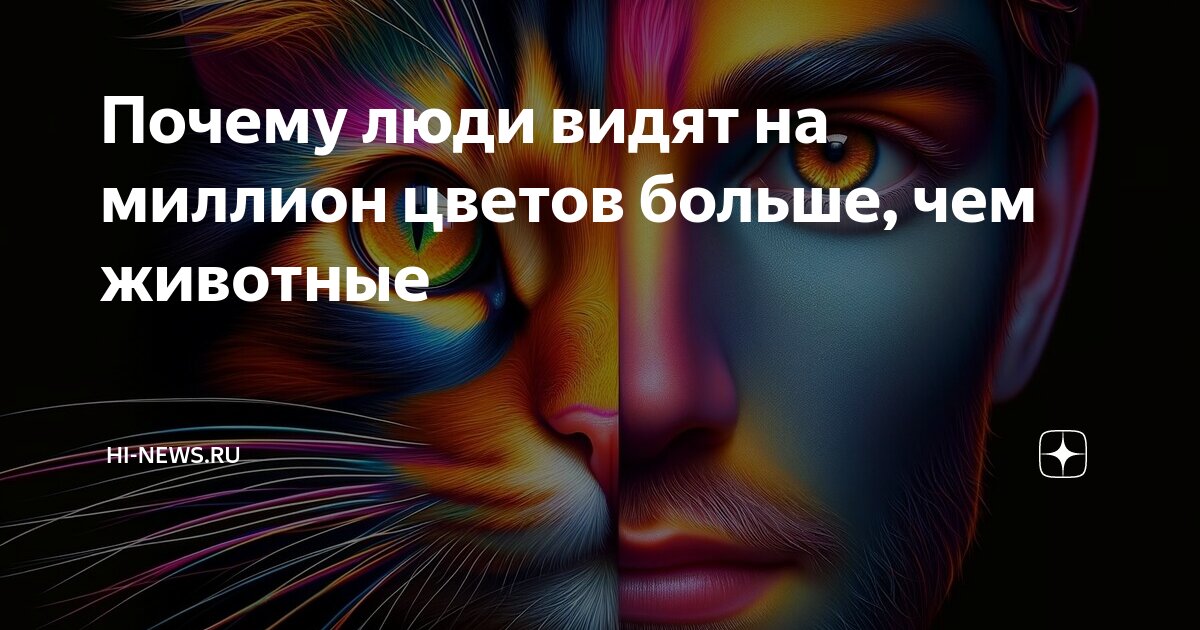 Почему я вижу цвет. Почему я вижу цвет