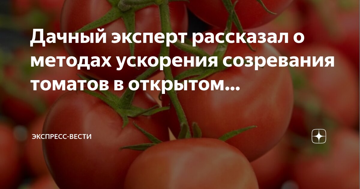 Как ускорить созревание тыквы в открытом грунте