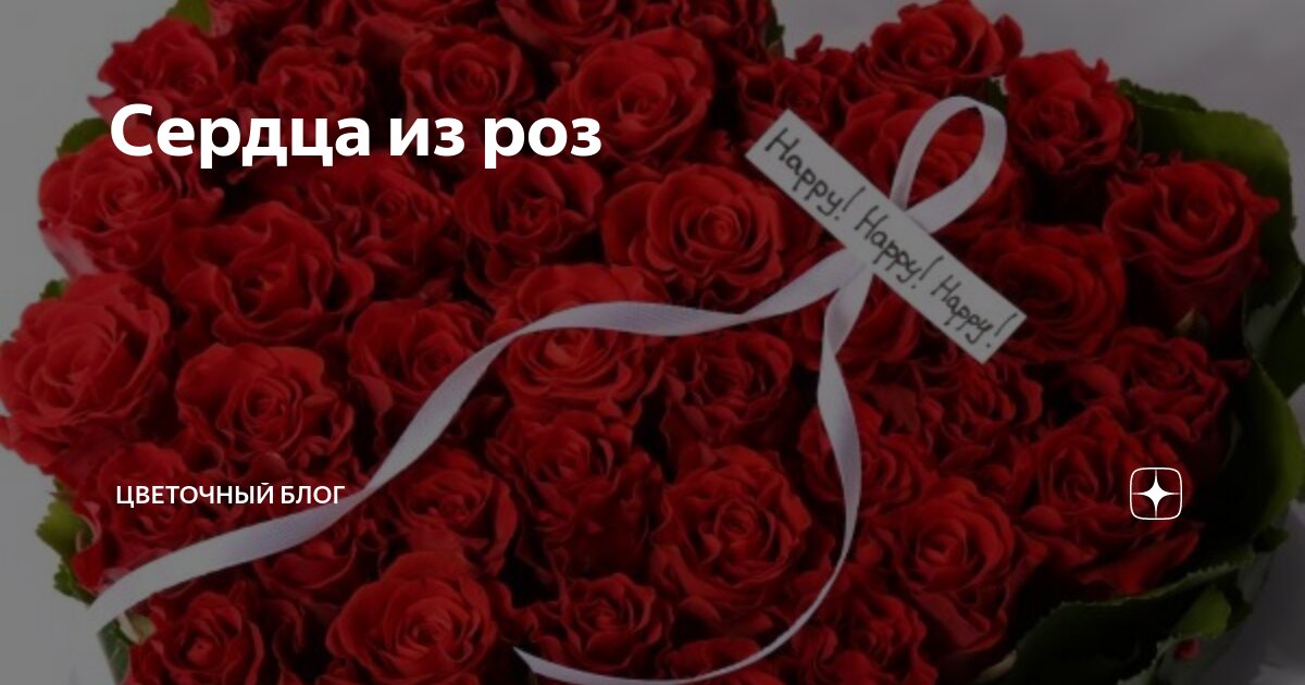 положу свое сердце как розу. у креста положу свое сердце текст. красные розы фон. красивые фразы про цветы. красивые розы с сердцем.