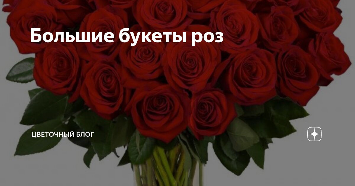 розы обнимают розы. букет цветов для мужчины. нежности любви. мужчин любви роза женщина. красивая женщина плейкаст.