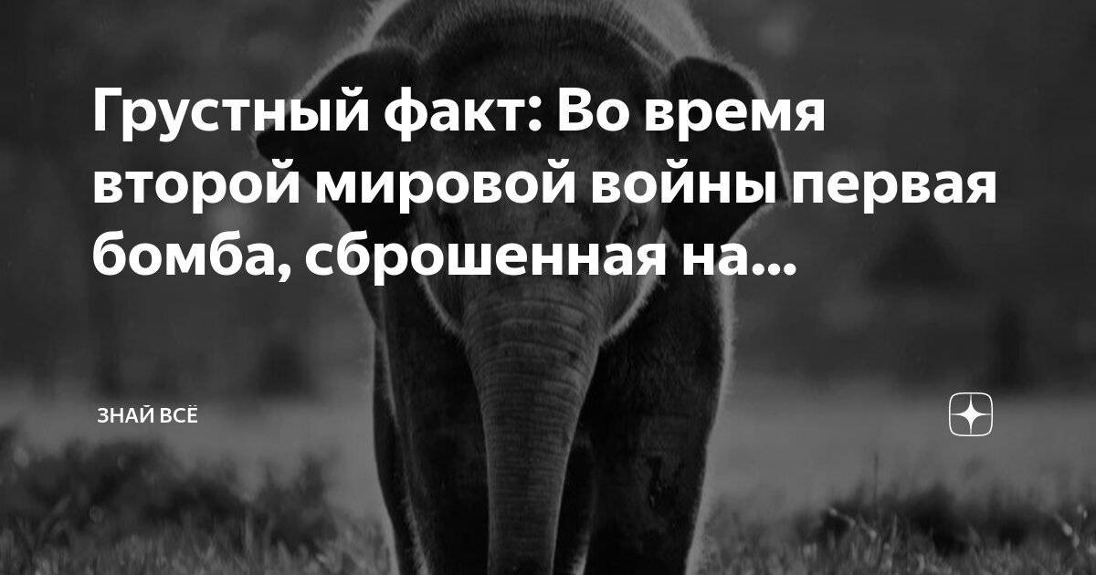 Факт мирового значения. Языки мирового значения. Факт мирового значения. Мировое значение. Фантазия это определение.