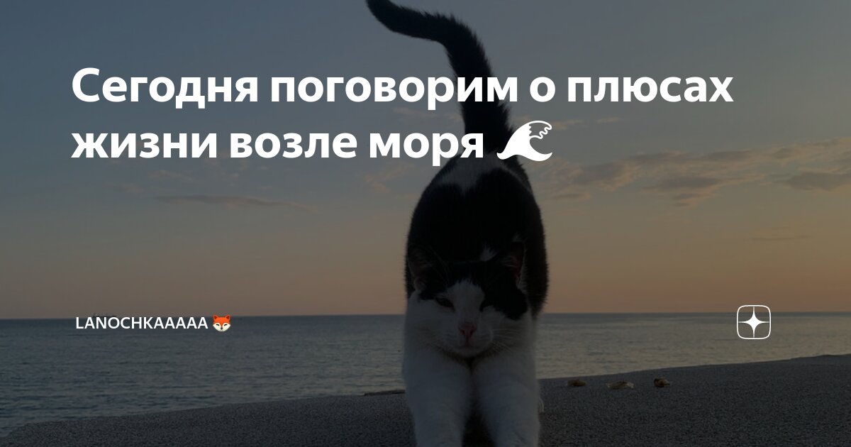 Желаю жить в море