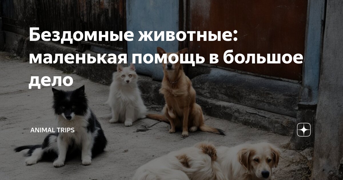 Маленьких бездомных животных. Бродячие животные. Милые бездомные животные. Бродячие животные. Бездомная собака с щенками.